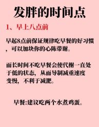 -Fundi张玉珊修身堂·indiba·BTL科技瘦身