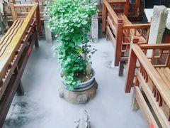 -三只耳火锅(宽窄巷子店)