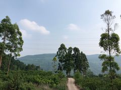 -金堂县云顶石城风景区