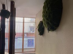 -新盈光·旗舰店(海曙苍松路店)