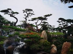 -罗红摄影艺术馆