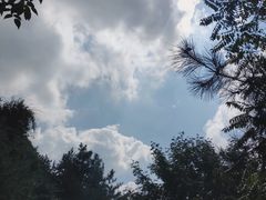 -王顺山国家森林公园