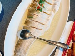 鸡油蒸白水鱼-拾宴(汇智国际商业中心店)