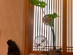 -畅和茶坊·曦瓜中国大红袍