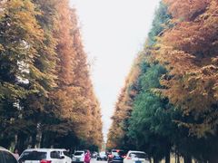 -山王坪喀斯特国家生态公园