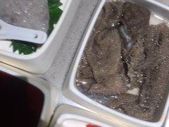 捞派毛肚-海底捞火锅(北京路店)