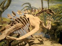 -自贡恐龙博物馆