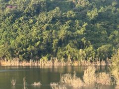 -老东风菜馆·羊肉火锅·海鲜·砂锅粥