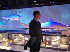 -贝林大翅鲸简餐厅(国家海洋博物馆店)