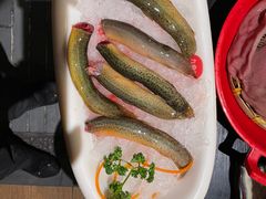 -九鼎轩火锅大排挡