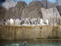 -成都浩海立方海洋公园