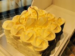 -BLACKSWAN黑天鹅(环球店)