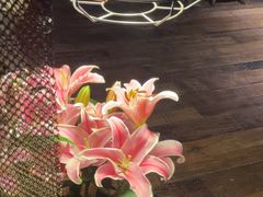 -肴约·花园式餐厅(湖里店)