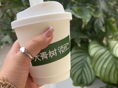 -大青树咖啡(大理古城店)