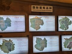 -青岛葡萄酒博物馆