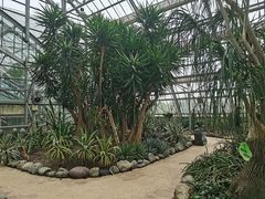 -南山植物园