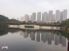 -重庆彩云湖湿地公园