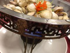 -小叶大馅饺子城