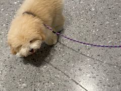 -深圳湾万象城(南山店)