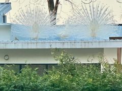 -J Create城市露营咖啡·简餐·宠物(上海动物园店)