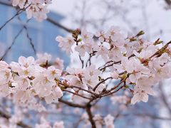 -西北湖绿化广场