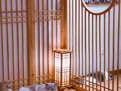 -猫にゃん · 猫的隐藏屋猫咖(麦地旗舰店)