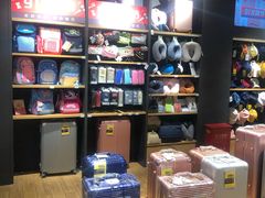 -九木杂物社(恒隆广场店)
