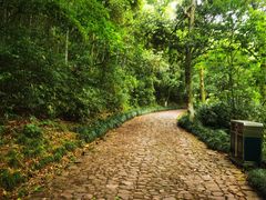 -西湖风景区十里琅珰-五云山