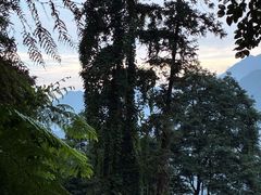 -峨眉山风景名胜区
