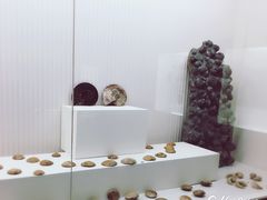 -青岛贝壳博物馆