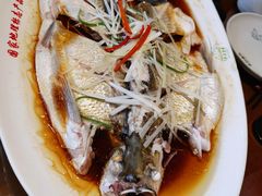 -丹江渔村(望京店)