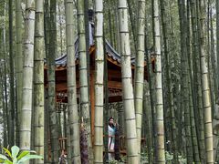-蜀南竹海景区