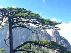 -黄山风景区
