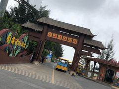 -北海金海湾红树林生态旅游区