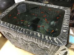 景观位-老仓醋米线(大观店)