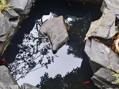 -谷咖啡·鲜花绿植花园餐厅