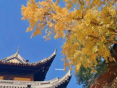 -龙华寺