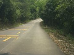 -广州市石门国家森林公园