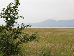 -野鸭湖国家湿地公园