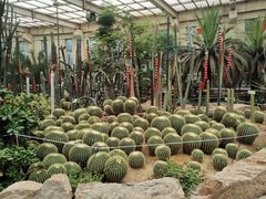 -石家庄市植物园