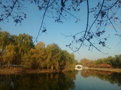 -大兴滨河森林公园