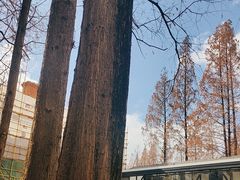 -一尺花园(安和花园店)