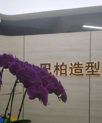 -BULB STUDIO 巴柏明星发型工作室