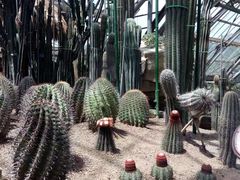 -南山植物园