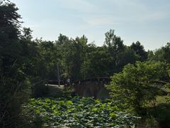 -白鹭湾湿地公园