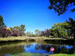 -圣露庄园·露营·烤肉·亲子