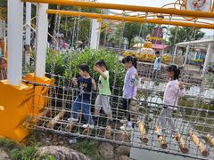 -南昌之星游乐场