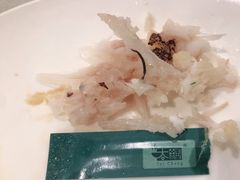 东星斑-海都六福酒家(世博广场店)