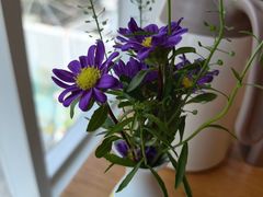 -墨宴(西洋湖店)