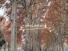 -河南省黄河迎宾馆